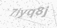 DP Captcha